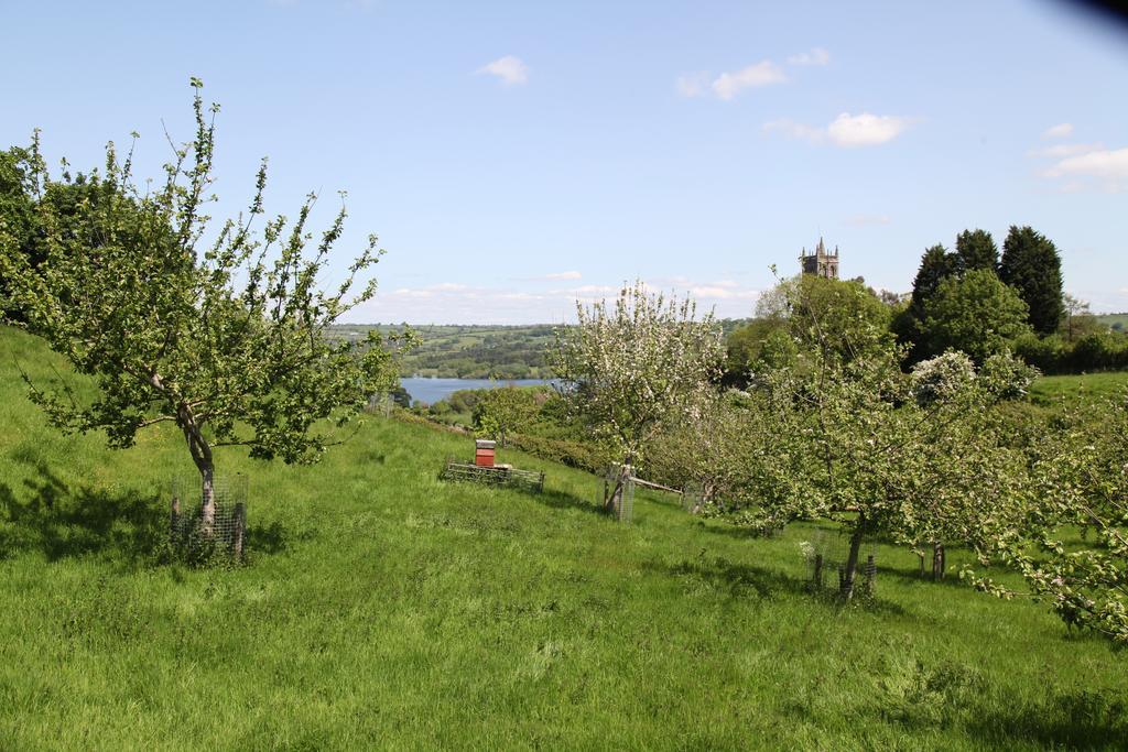 The Seymour Arms Hotel Blagdon Eksteriør billede